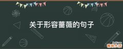 关于形容蔷薇的句子