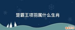 楚霸王项羽属什么生肖