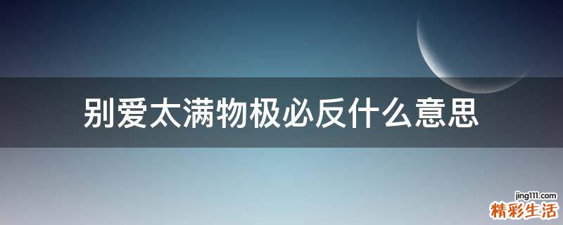 别爱太满物极必反什么意思