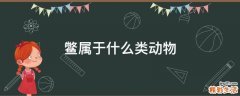鳖属于什么类动物