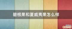 碧根果和夏威夷果怎么样