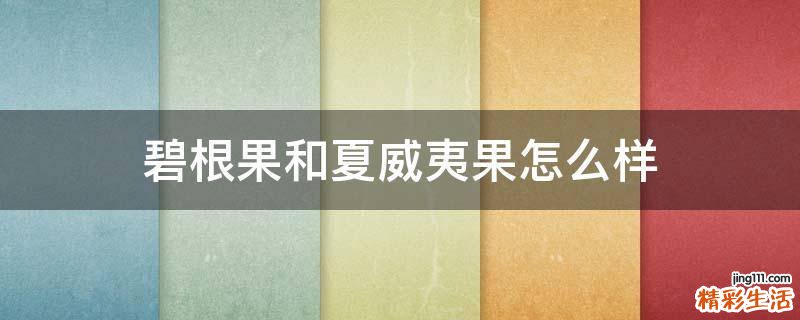 碧根果和夏威夷果怎么样