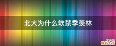 北大为什么软禁季羡林