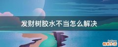 发财树胶水不当怎么解决