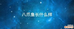 八爪鱼长什么样