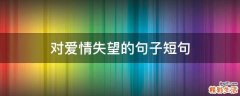 对爱情失望的句子短句