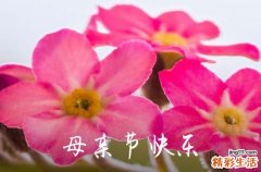2023年精选母亲节祝福问候语大集合27条