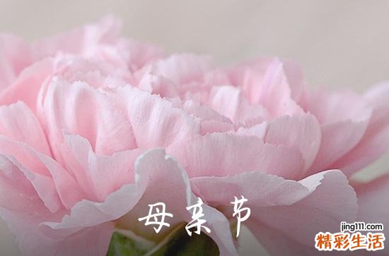 感恩母亲节祝福语2023