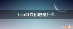 hso组成化肥是什么