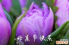 2023精选母亲节快乐的祝福语摘录37句