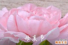 2023年母亲节给妈妈的微信祝福语31条