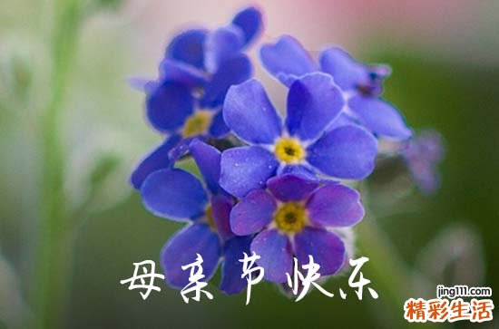 2023年感动妈妈的母亲节QQ祝福语20句