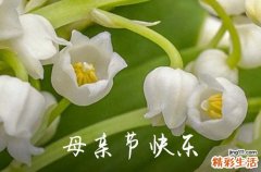 2023暖心母亲节祝福语QQ集合38条