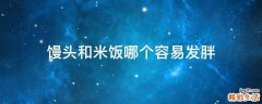 馒头和米饭哪个容易发胖