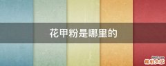 花甲粉是哪里的