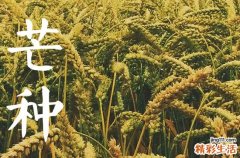 2023年芒种节气的祝福词精选20条