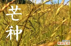 2023年芒种节气的祝福词50句
