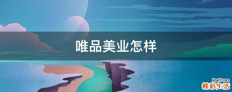唯品美业怎样