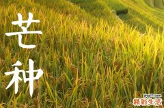 2023年芒种的含义是什么意思芒种的历史