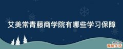 艾美常青藤商学院有哪些学习保障