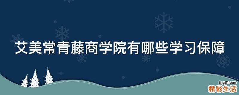 艾美常青藤商学院有哪些学习保障