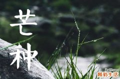 2023年芒种的来历和风俗芒种节气的传统习俗