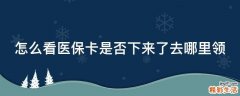 怎么看医保卡是否下来了去哪里领