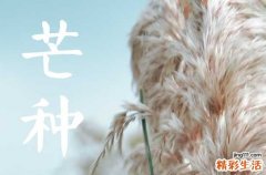 2023年芒种几点不出门 芒种的种植