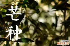 2023年芒种是什么意思 芒种有哪些习俗