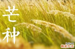 2023年芒种是夏季的第几个节气芒种节气是夏天吗