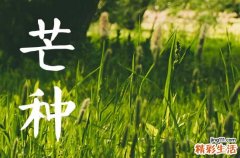 2023年芒种是几月几号几点几分 今年芒种具体时间