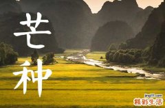 2023年芒种后九天是什么时候芒种是几月几号