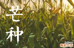 2023年芒种后9天是农历几月 为什么芒种重要