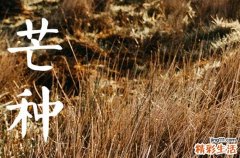 2023年芒种会下雨吗 芒种天气情况解析
