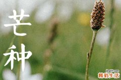2023年芒种适合喝什么茶 喝茶注意事项