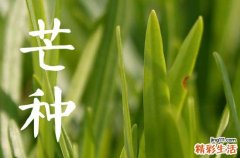 2023年芒种能搬家吗 哪天是搬家最旺的日子