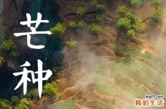 2023年芒种能洗衣服吗 此节气如何养生