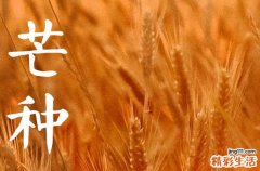 2023年芒种能剪头发吗 理发注意的事项