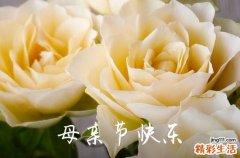 2023年母亲节祝福微信问候语集锦37句