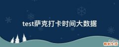 test萨克打卡时间大数据