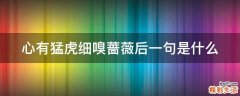心有猛虎细嗅蔷薇后一句是什么