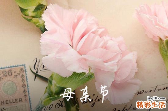 2023年精选母亲节祝福问候语摘录55条