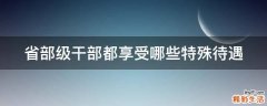 省部级干部都享受哪些特殊待遇