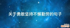 关于勇敢坚持不懈勤劳的句子