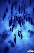 二月二龙抬头剃头好不好 龙头节剃头有什么寓意