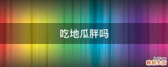 吃地瓜胖吗