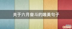 关于六月奋斗的唯美句子