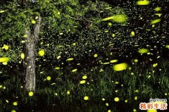 胃潴留要注意些什么