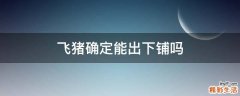 飞猪确定能出下铺吗