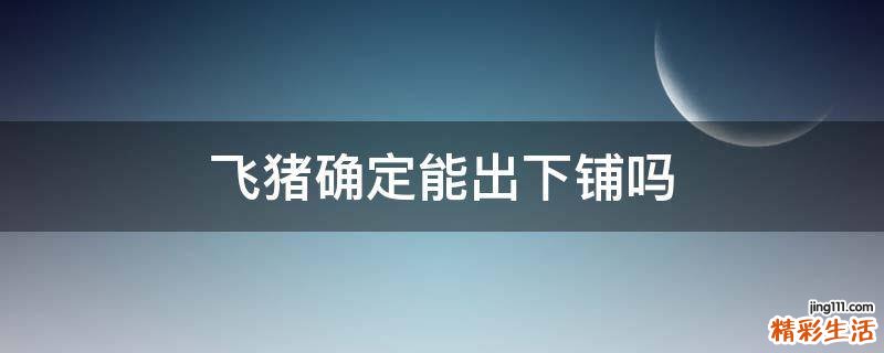 飞猪确定能出下铺吗